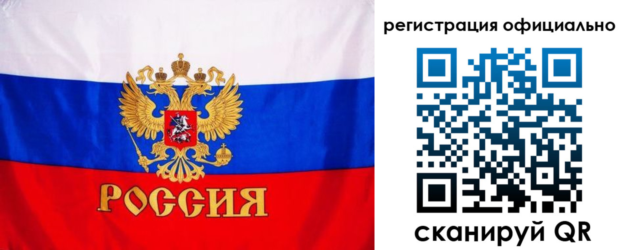 временная регистрация поиск в Коле
